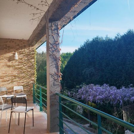 Casa Campo Ao Rio_Village Барселуш Екстер'єр фото