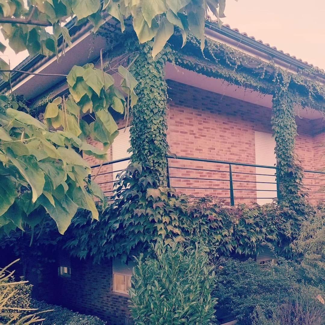 Casa Campo Ao Rio_Village Барселуш Екстер'єр фото